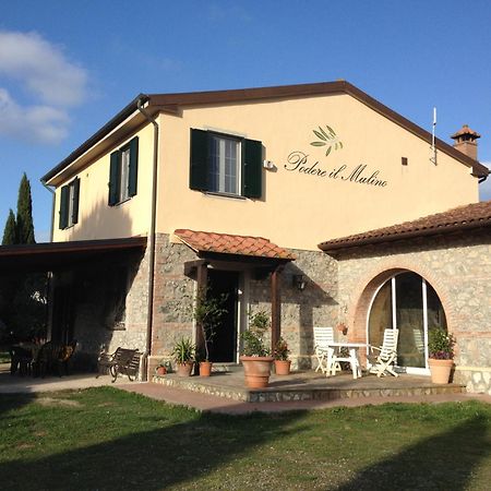 Podere Il Mulino Pieve di Santa Luce ภายนอก รูปภาพ
