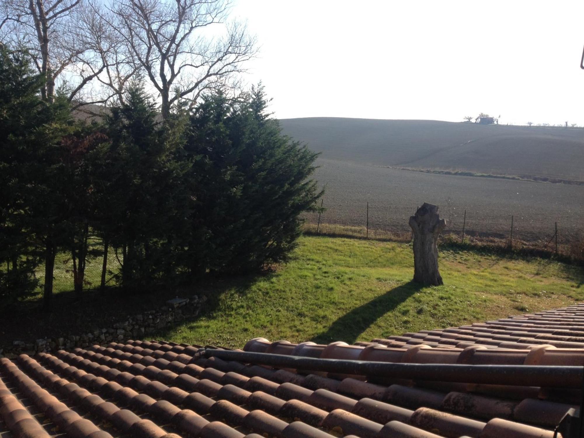 Podere Il Mulino Pieve di Santa Luce ภายนอก รูปภาพ