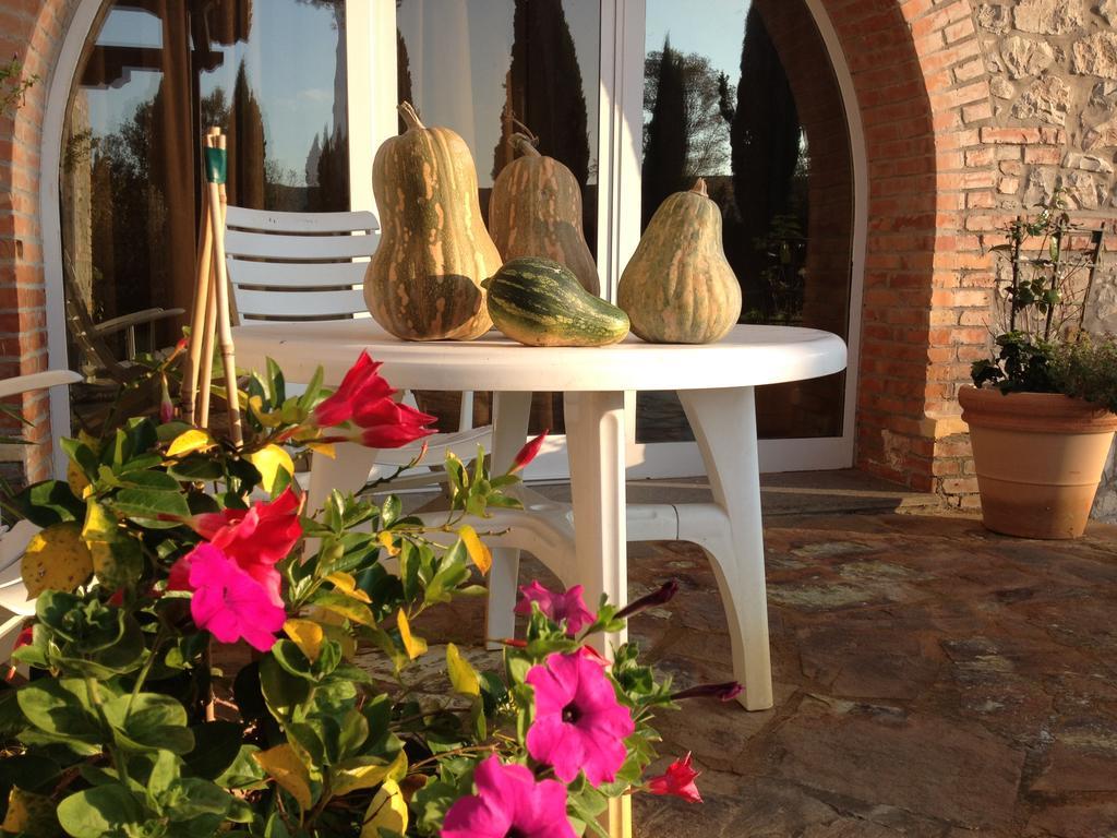Podere Il Mulino Pieve di Santa Luce ภายนอก รูปภาพ