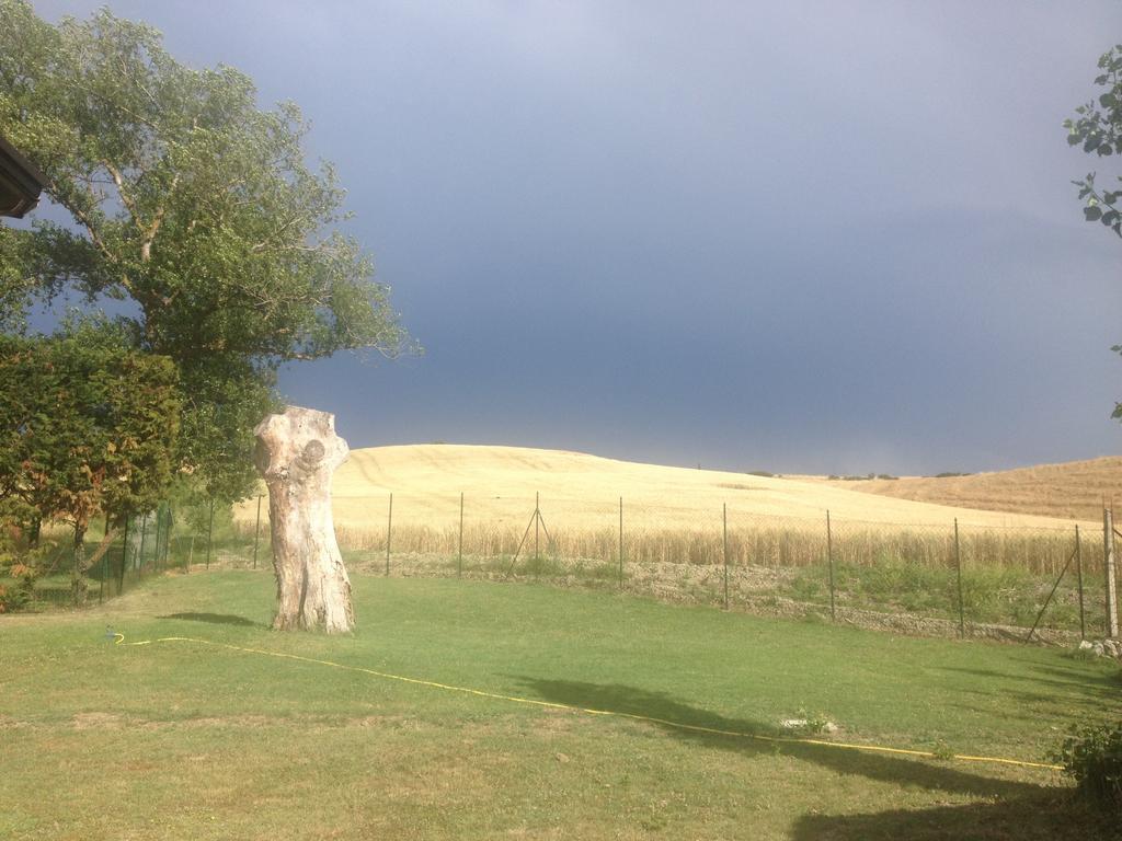 Podere Il Mulino Pieve di Santa Luce ภายนอก รูปภาพ