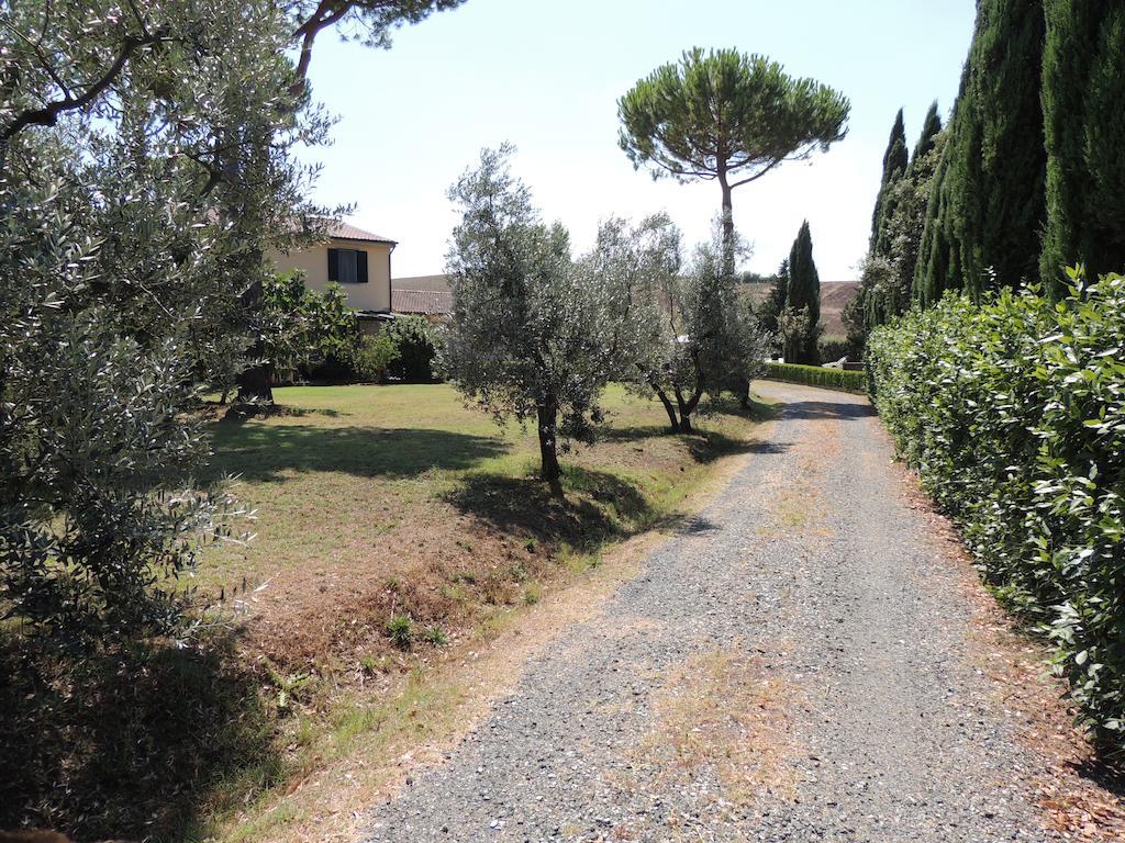 Podere Il Mulino Pieve di Santa Luce ภายนอก รูปภาพ