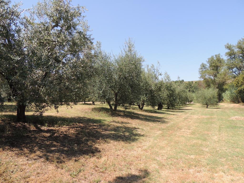 Podere Il Mulino Pieve di Santa Luce ภายนอก รูปภาพ